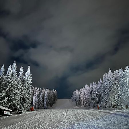 Vila Jezero Kopaonik Luaran gambar